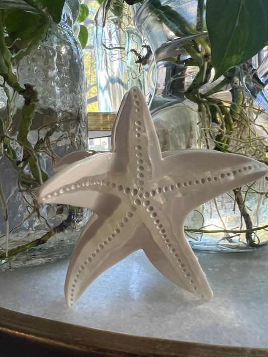 - Starfish Claw Clip