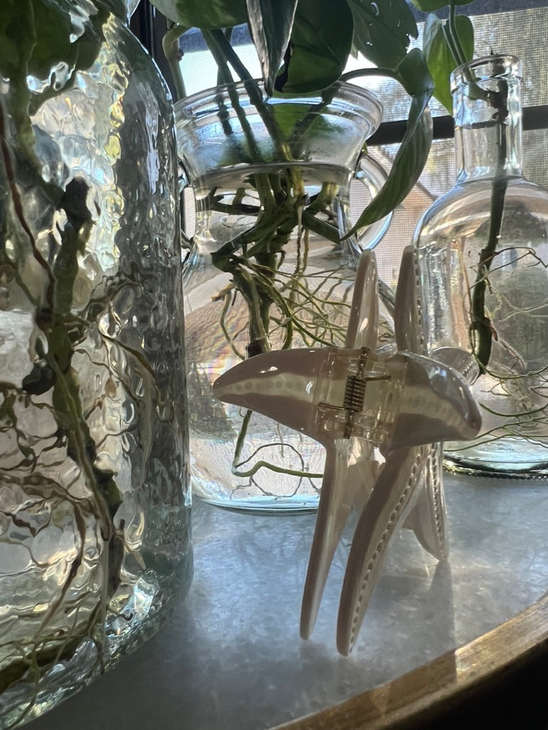 - Starfish Claw Clip